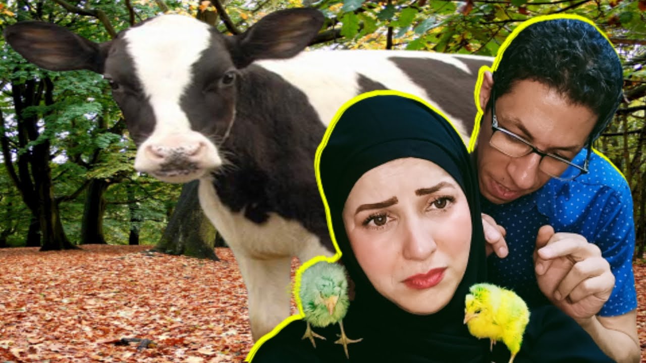 البخيل في العيد عمل البدع 🐏🐏🐏 @ahmedetkarma