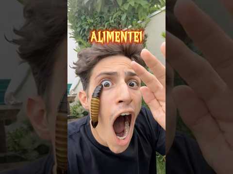 Qual planta carnívora vai comer o tenebrio?!😱 #shorts