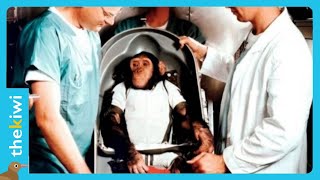 Ham, the first chimpanzee sent to space by Nasa