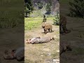 ADVANCED SURVIVAL SKILLS v50 #shorts