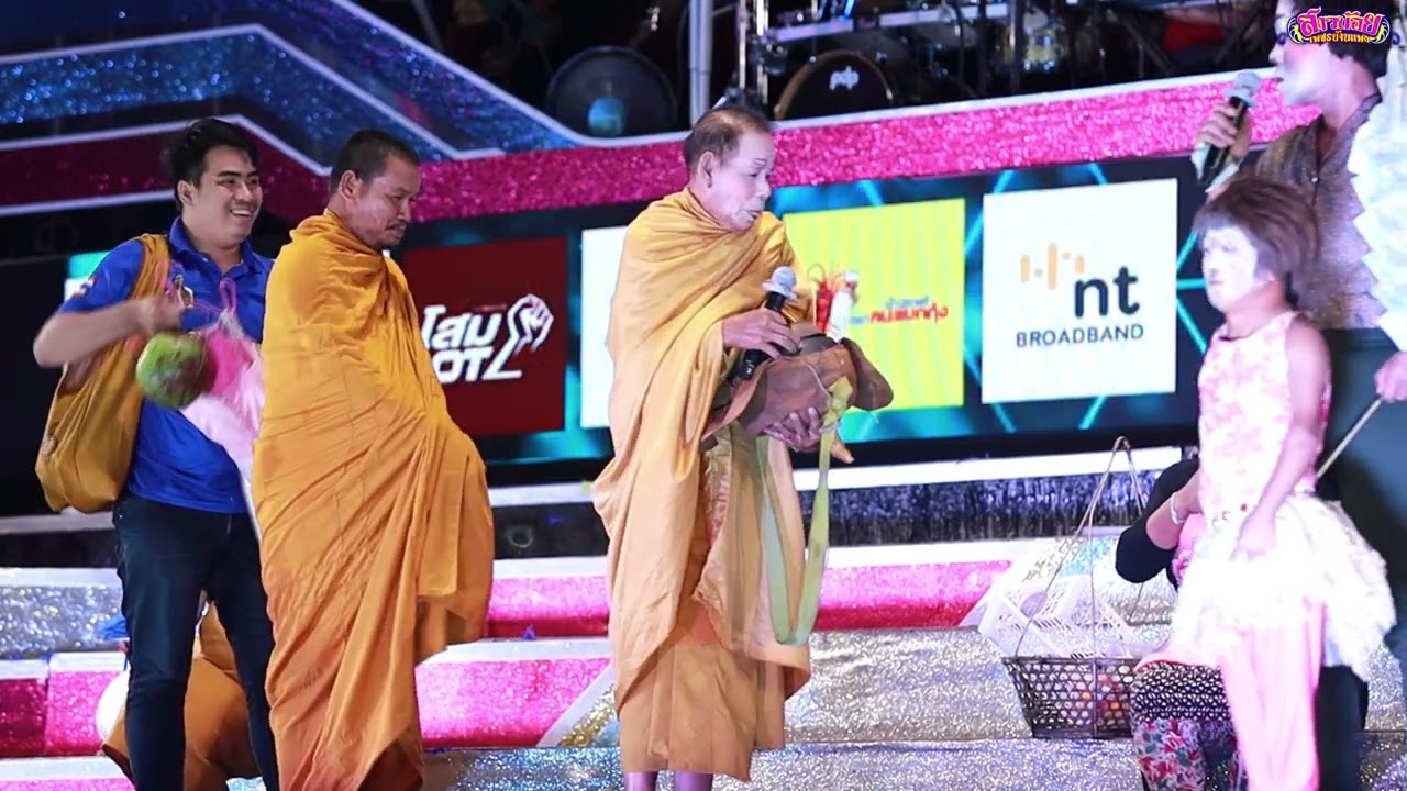 ตลกแมวล่าพาเพลิน