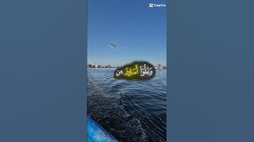 تلاوة خاشعة من الشيخ محمد اللحيدان ولا اروع #اكسبلور