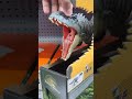 NEW Jurassic world survival Giganotosaurus in stores and action feature  #jurassicworld  #dinosaur