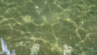 20160618 101316   Copy 2