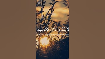 سورة المؤمنون من الآيه(111) إلى (113)