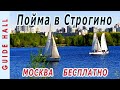 Большой Строгинский затон (Строгинская пойма) - лучшие пляжи в Москве, где можно бесплатно купаться!