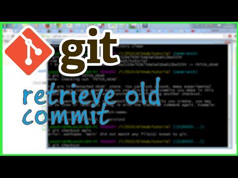 Video: Hoe trek ik een specifieke commit?