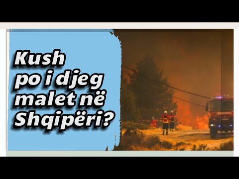 Kush Po I Djeg Pyjet Në Shqipëri Eksperti Tregon Masat Ekstreme Që Duhen Marr