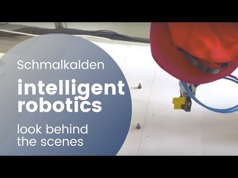 First steps in the development of a vision robot