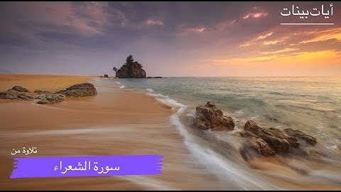 سورة الشعراء || الشيخ انس نوفل