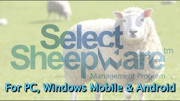 New Select Sheepware Introduction