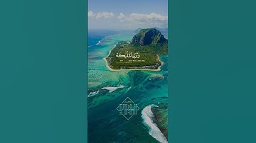 وقالوا الحمد لله الذي صدقنا وعده II القارئ شريف مصطفى