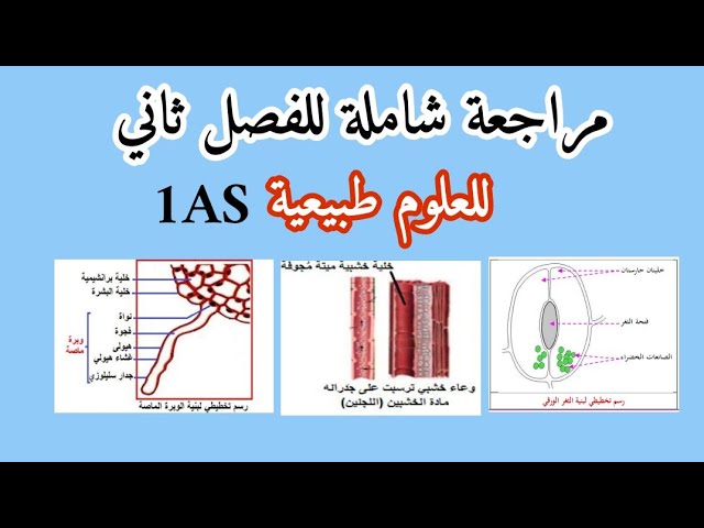 أولى ثانوي: مراجعة شاملة للعلوم😍🎁تحضيرا للفرض و اختبار
