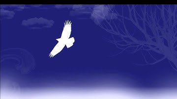 What Do U Want - Senator JohnDean