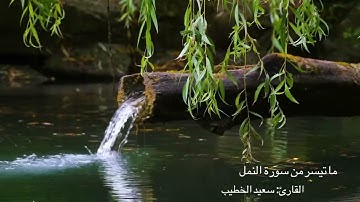 ماتيسر من سورة النمل | القارئ: سعيد الخطيب