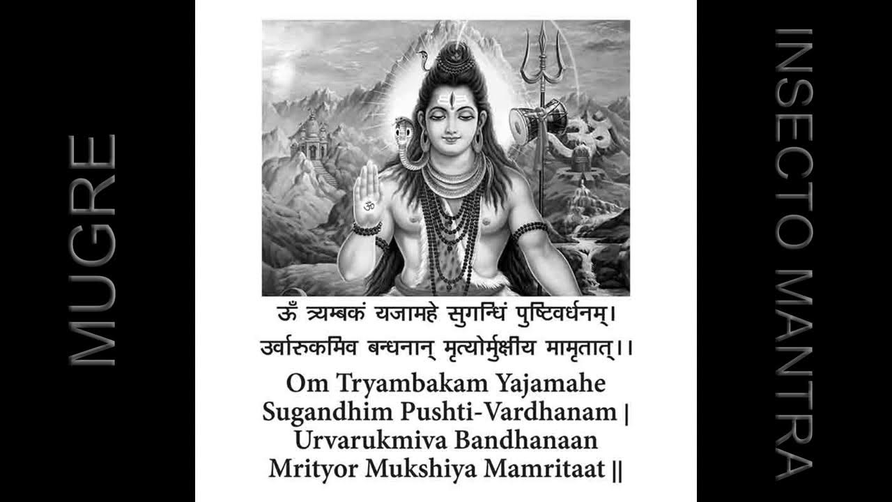 мантра бессмертия маха-мритьюнджайа. маха мритьюнджайа мантра. побеждающая смерть махамритьюнджая мантра шивы. мантра побеждающая слушать. мритьюнджайя мантра слова.