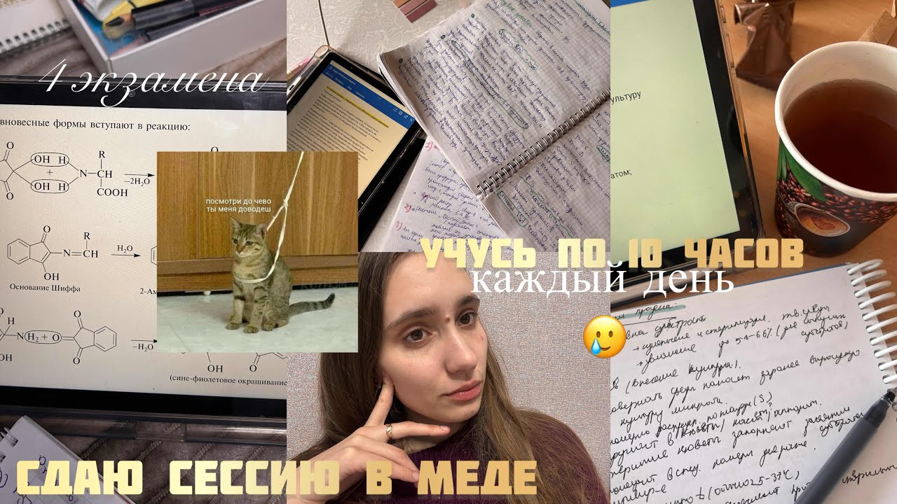зимняя СЕССИЯ в меде 📚 учусь по 10 часов - 2 часть 
