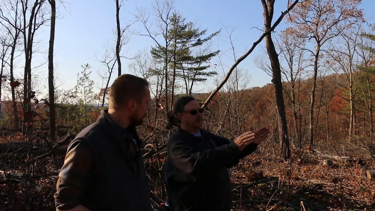 Steller Flooring Mark Ott S Inspirational Hardwood Flooring Youtube