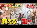 キッチンで蛇口が爆発!? まさかの大パニック！