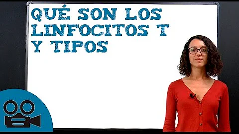 ¿Cuáles son las funciones de los linfocitos TYB?