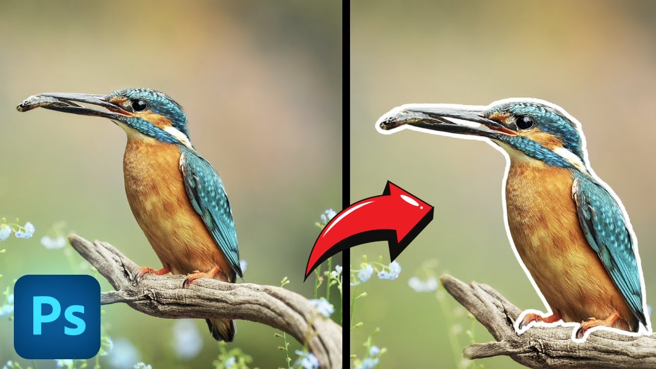 How to Add WHITE BORDER to Image in Photoshop (2025)