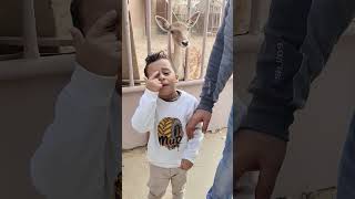 الغزاله اكلت ايد يوسف           لمار          كيدز            سويتز        كامري  اكسبلور       سمعها