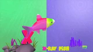 X Is For Xray Fish //Klasky Csupo 2001 Effects