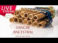 Live stream | Jorge | Ocarina | Native | World music | Relaxing | Flute | Alborada