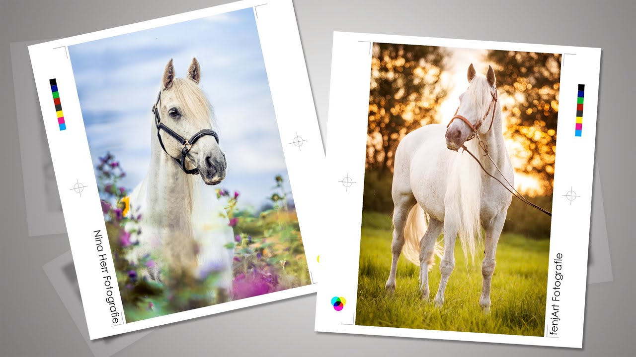 Valendero, ein Pferd wie im Märchen - Pferdeshooting | Making Of fenjArt & Nina Herr