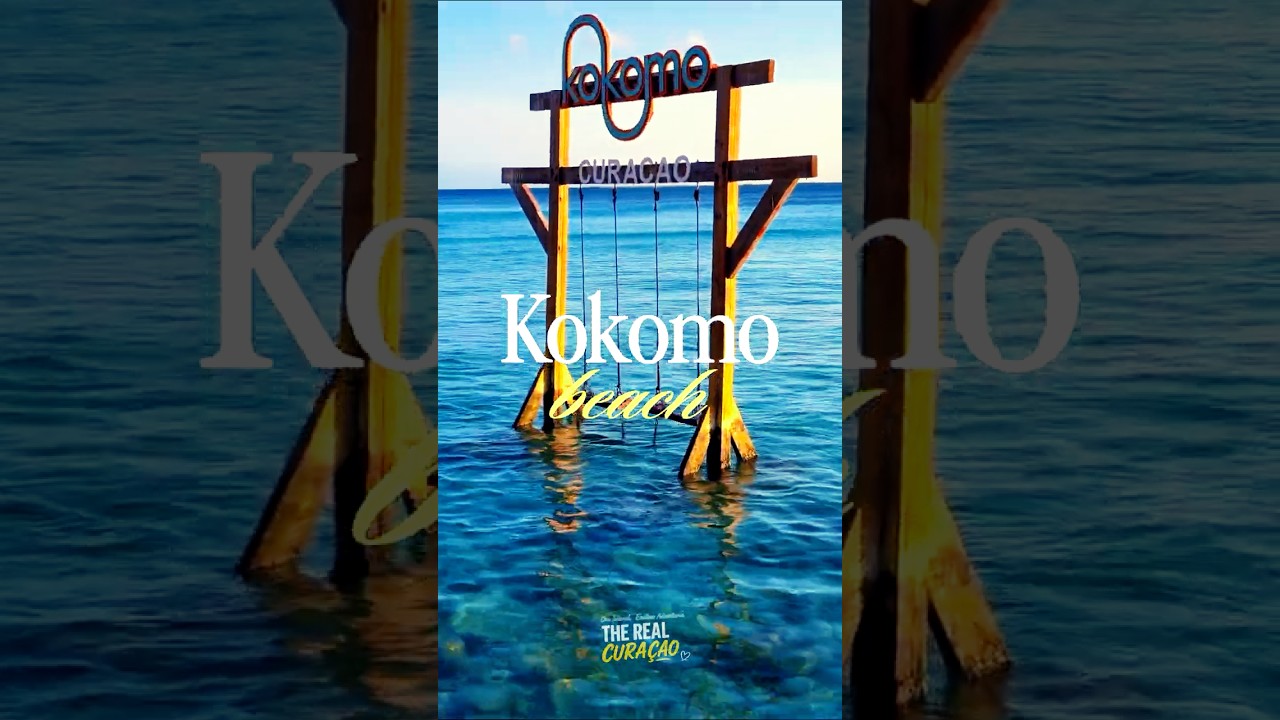 Kokomo beach | Full review #curacao #beach #shortvideo
