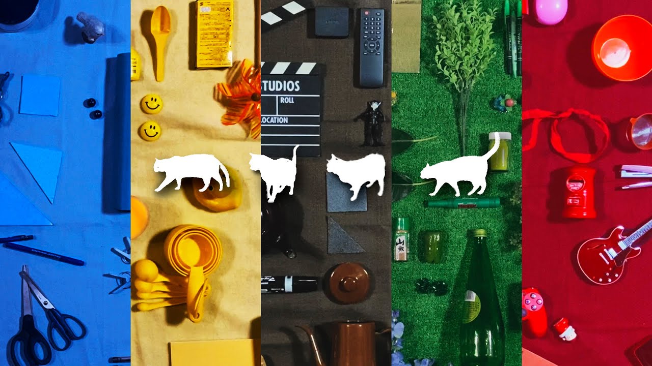 【Five colors】今日のねこさん【真俯瞰】 #猫 #保護猫