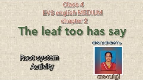 CLASS 4 II EVS ENGLISH MEDIUM II CHAPTER 2 II THE LEAF TOO HAS TO SAY II ACTIVITIES PART 1