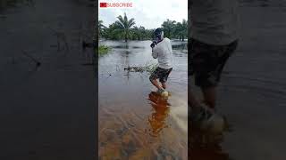 Mancing Ikan Apa Coba..?? Strike Hiburan . :) 🐟 Best Asian Fishing Technique 🐟   #shorts #ikan