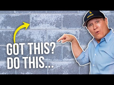 How to Remove Efflorescence on Concrete - Old Damp Wall TREATMENT - Twin Plumbing
