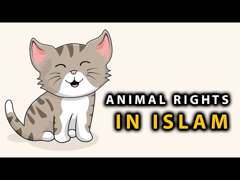 ANIMAL RIGHTS IN ISLAM | Shaykh Zahir Mahmood | Animated Islamic Reminder