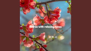Mellow Moods for Replicating Change