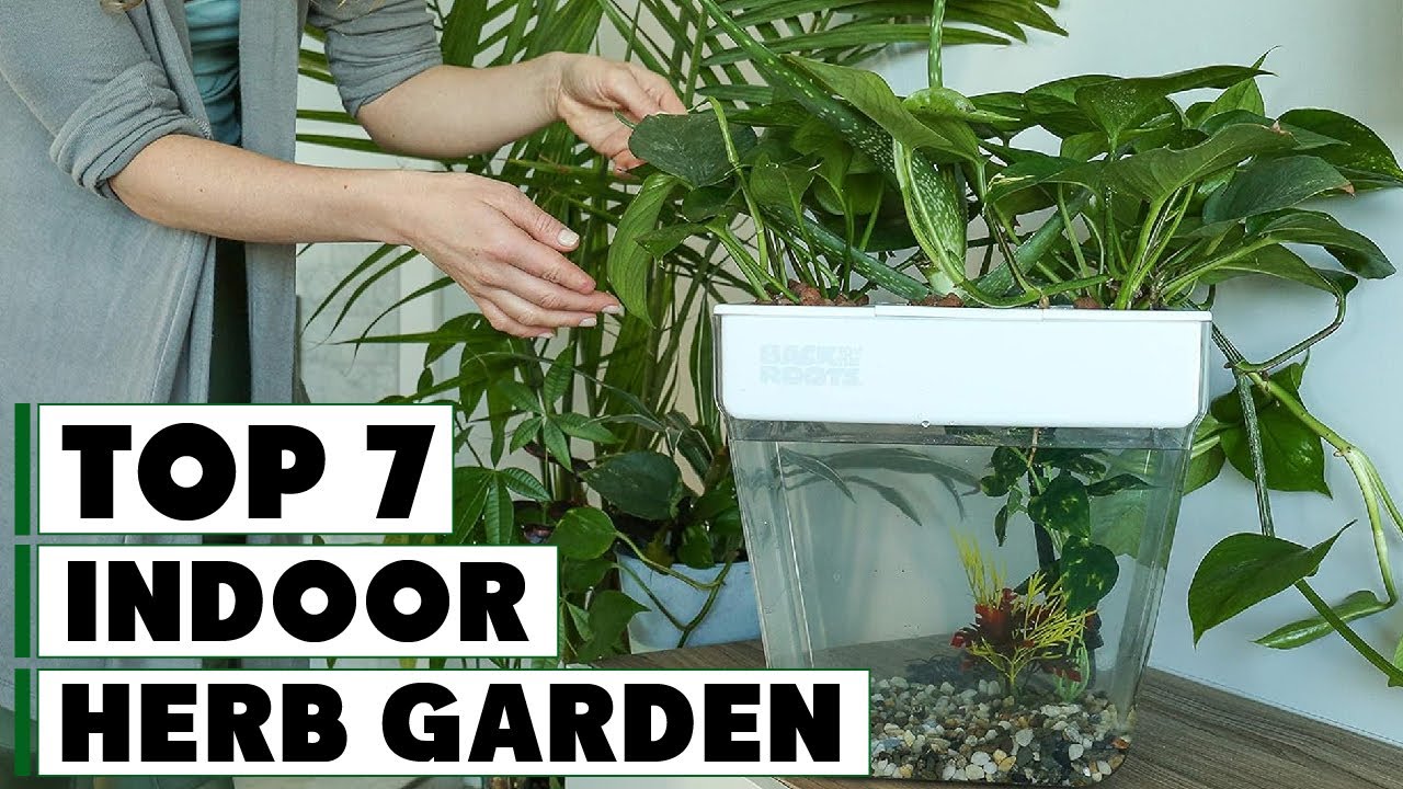 7 Best Indoor Herb Gardens for Fresh Herbs All Year Round - YouTube