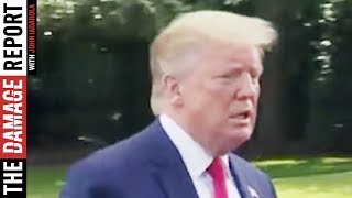 Is Trump Right To Be In A "Total Panic?"