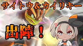 ポッ拳dx カイリキーを使って拳で抵抗する 見応えある抵抗劇が爽快 元sランク Youtube ポッ拳dx カイリキーを使って拳で抵抗する 見応えある抵抗劇が爽快 元sランク Youtube