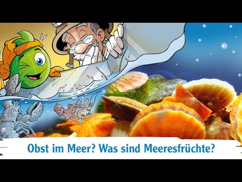 Video: Was Sind Meeresfrüchte Und Wie Gut Sind Sie Für Uns?