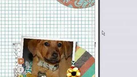 Print Shop - How to Use a Quick Page