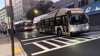 BEE-LINE BUS ACTION 2009 NABI 40S LFW & NEW FLYER XDE60S & 40S ROUTES 8 7 4 30 32 491 2 #230 #271