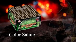 Color Salute 3352 - Bonbridge Straat Video