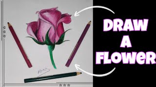 أسهل طريقة لرسم وردة جميلة والتلوين بالألوان الخشبية /رسم سهل للمبتدئين