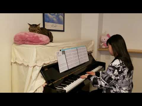 小田 和正 会いに行く ピアノ 猫と一緒