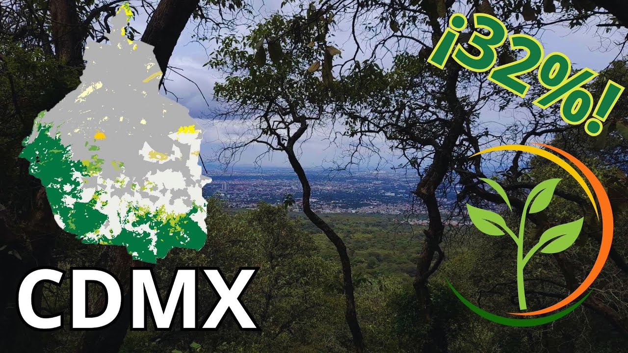 Areas Verdes de la CDMX