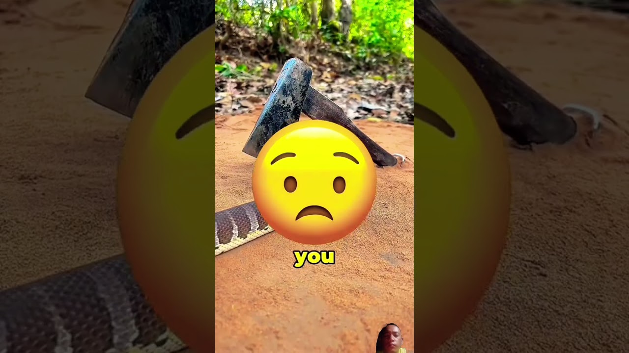 best technique to catch dangerous snake😱😱👍 