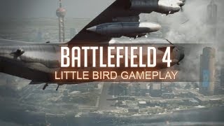 BATTLEFIELD 4 MULTIPLAYER GAMEPLAY - BF4 Z-11W / Little bird Obliteration