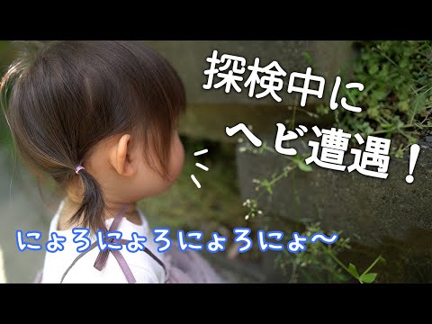 子 チャンネル ねむ 夢眠ねむ