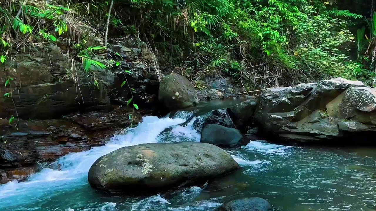Gentle Rock-Pool Waterfall – Real Jungle White Noise for Deep Sleep & Stress Relief